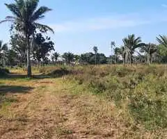 Terreno Carretera al Norte