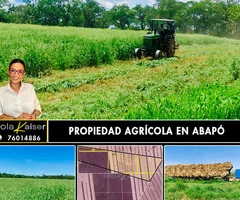 Hermosa propiedad agricola en venta, entre Cabezas y Abapo, Santa Cruz